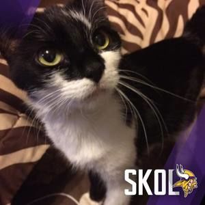 Meet your Posher, Carter